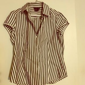 Tracy M short sleeve silk button down collar shirt